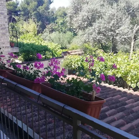 Appartement Jadranka Pula